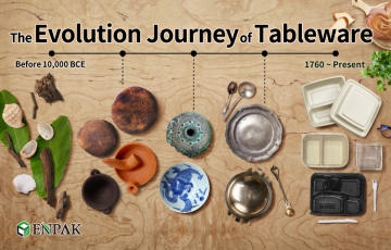 The Evolution Journey of Tableware