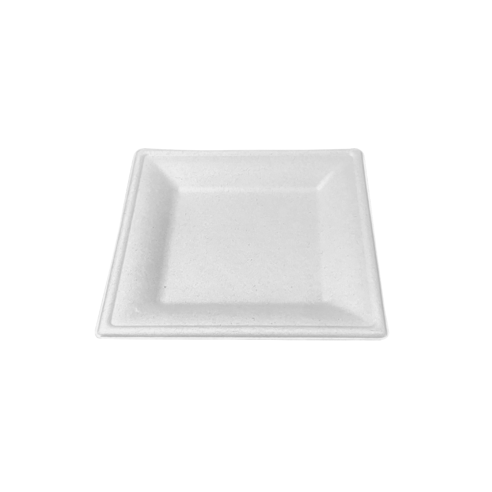 Compostable Rectangular Boxes 500mL