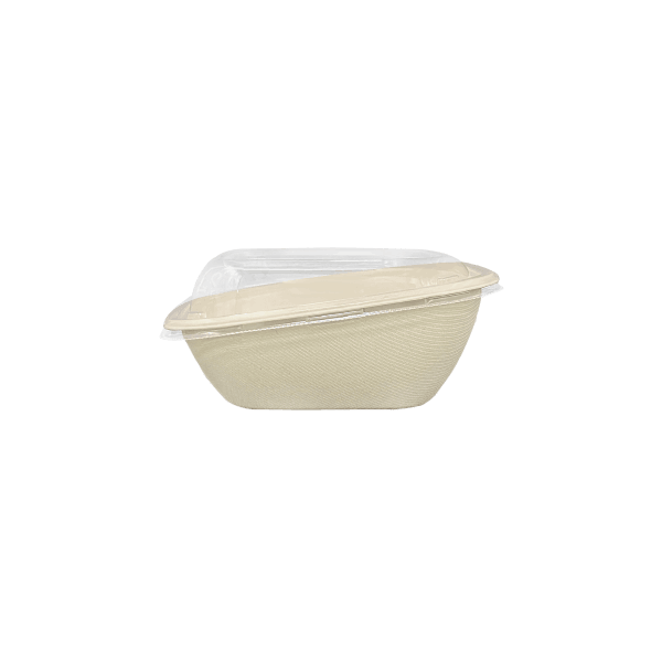 Compostable Rectangular Boxes 500mL