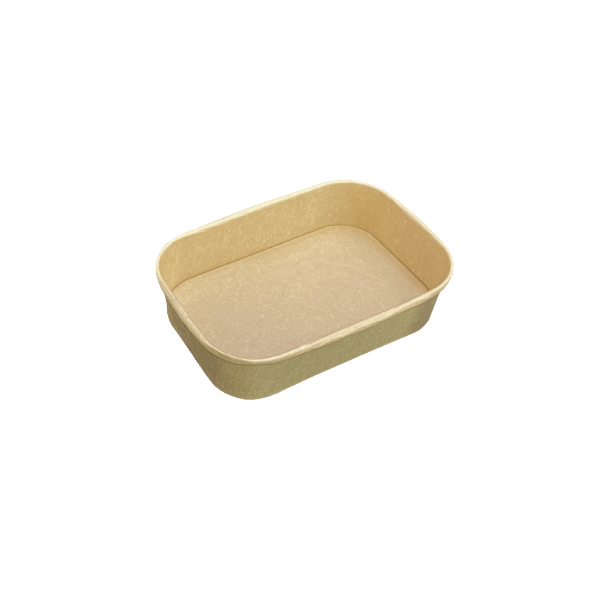 Disposable Paper containers -08