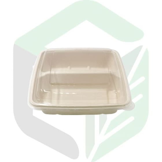 Enpak compostable food packaging square 1000ml 2 compartment CS-1000-2