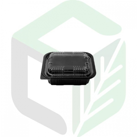Non-Microwavable PS Rectangular Bento Boxes _ 1  Compartment