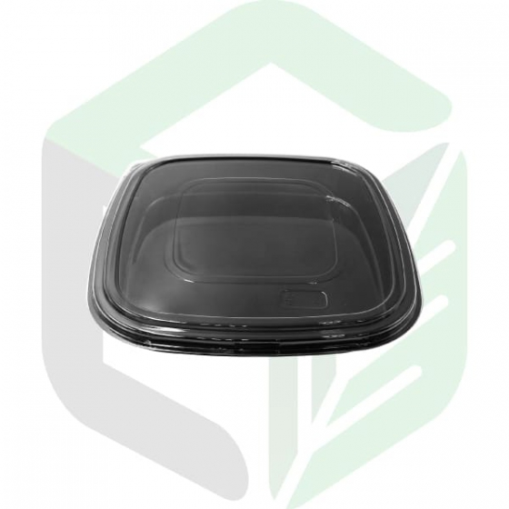 Non-Microwavable PET Square Party Trays