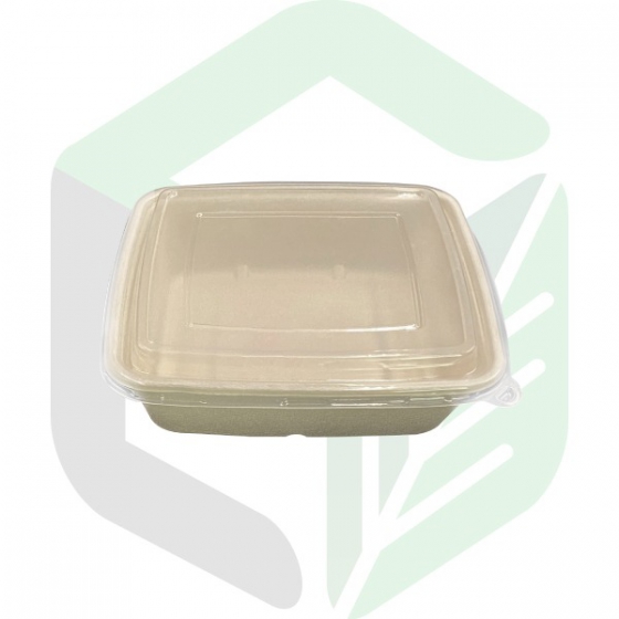 Compostable Food Trays With Lid