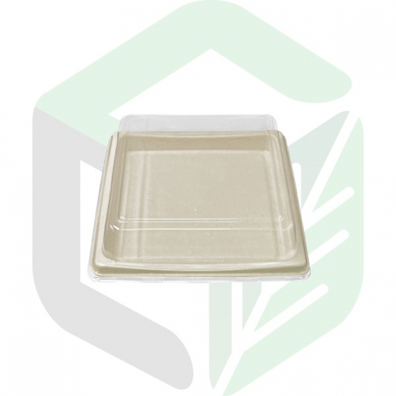 Compostable Square Serving Plates