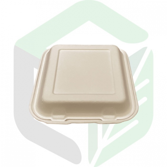 Compostable Square Clamshell Boxes 8 Inches _ 3 Compartments