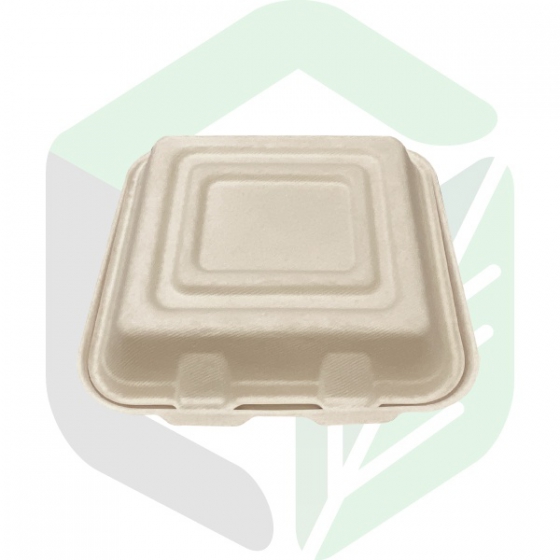 Compostable Square Clamshell Boxes 10 Inches