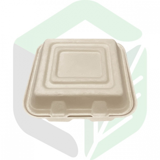 Compostable Square Clamshell Boxes 10 Inches _ 3 Compartments