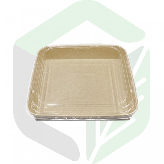 Kraft Paper Party Trays_10