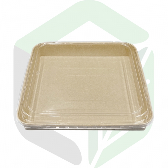 Kraft Paper Party Trays_12