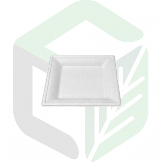 Compostable Square Plates _6 inches