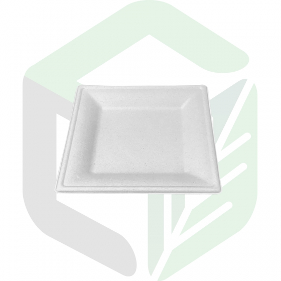 Compostable Square Plates _8 inches