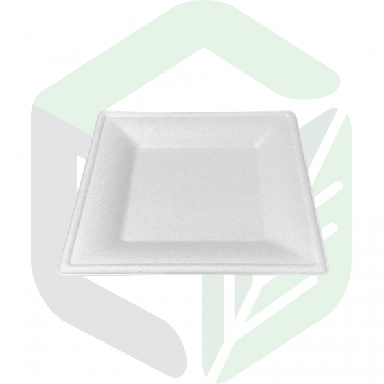 Compostable Square Plates _10 inches